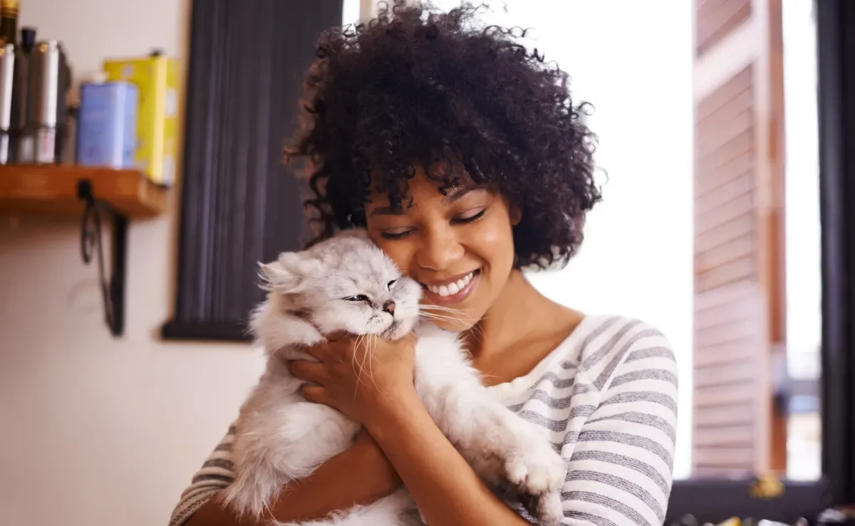 Veja algumas dicas para estreitar a relação com o gato