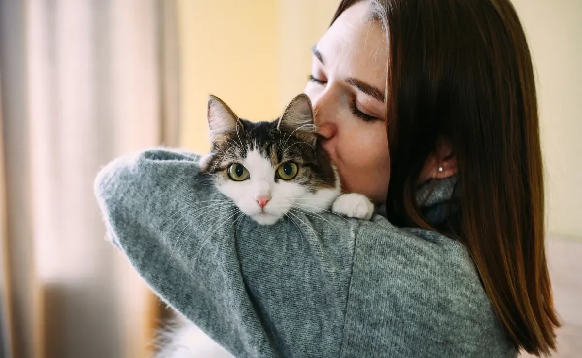 A teoria de que os gatos esquecem os donos depois de 3 dias não é muito certa