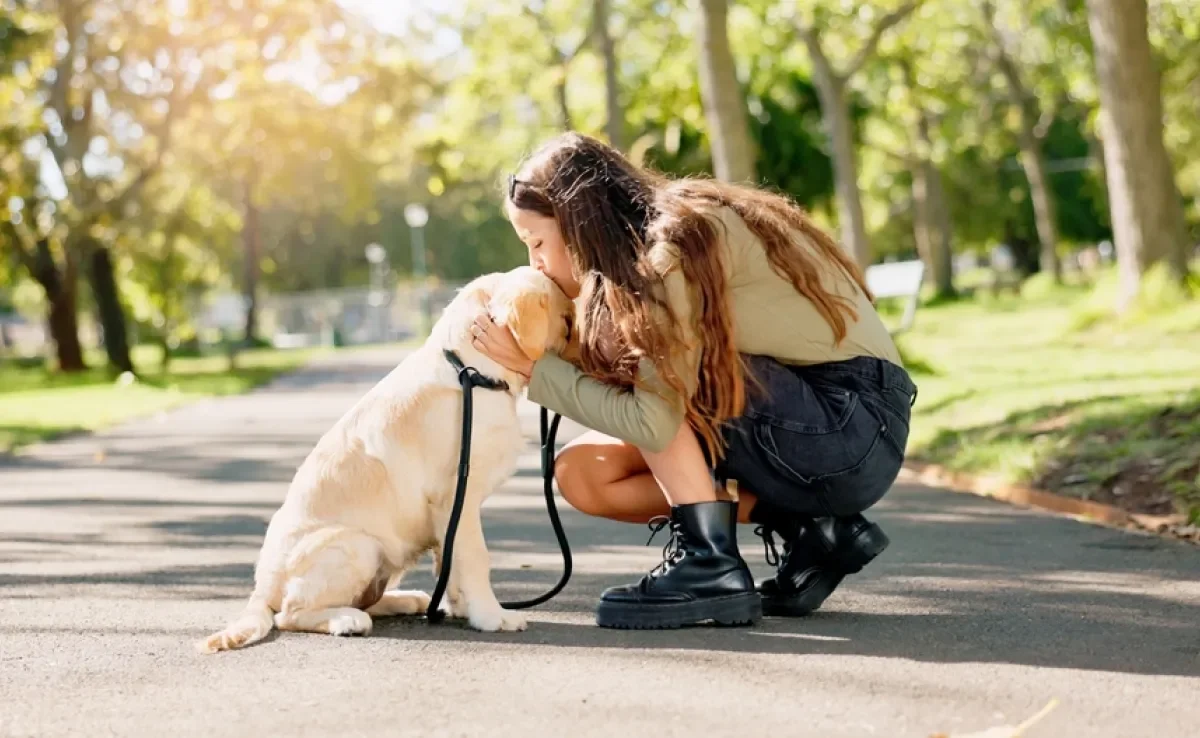 Passear com cachorro não traz benefícios apenas para o pet, mas também para o tutor