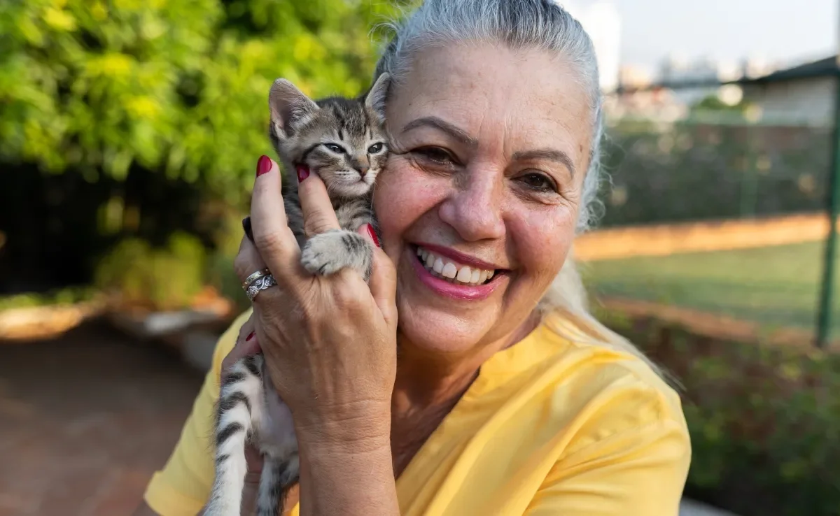 Antes de adotar gato, é importante preparar o ambiente com tudo que ele precisa para ser feliz 