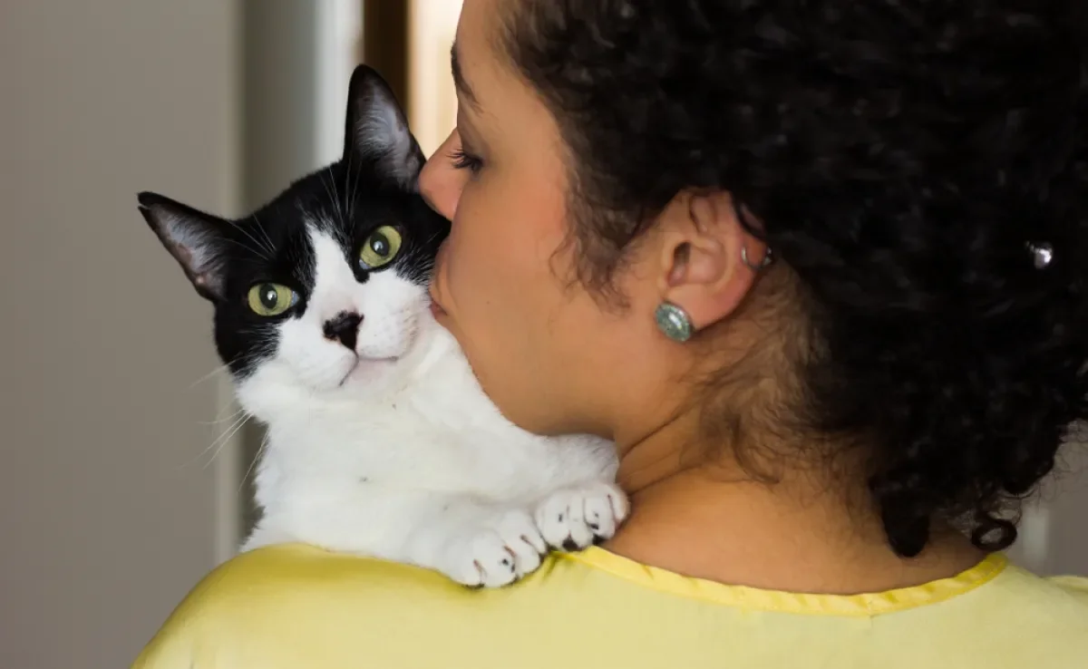 O amor de gato está nos detalhes