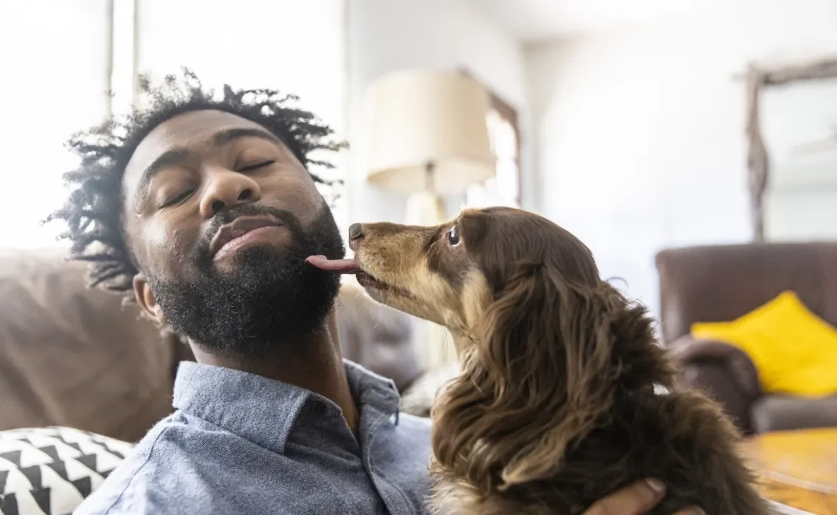 Os lambeijos é um hábito muito comum entre os cães e pode significar algumas coisas