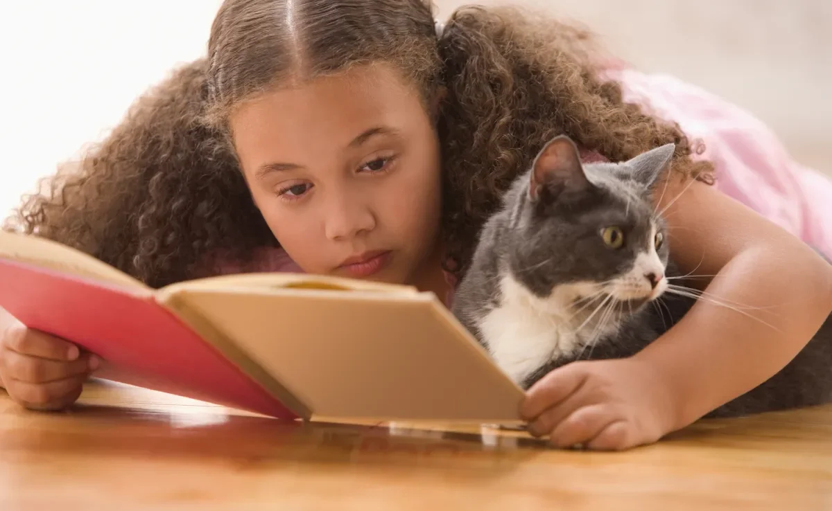 Os livros com temática felina estão fazendo o maior sucesso 