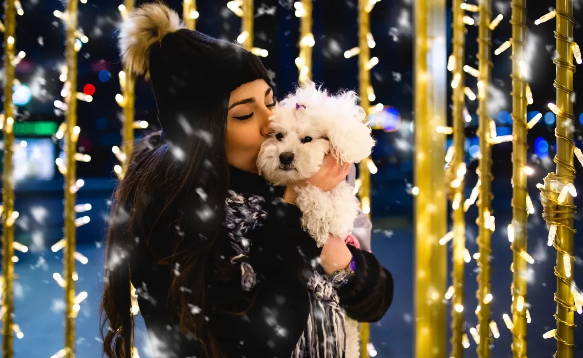 O cachorro com medo de fogos se sente estressado e ansioso 