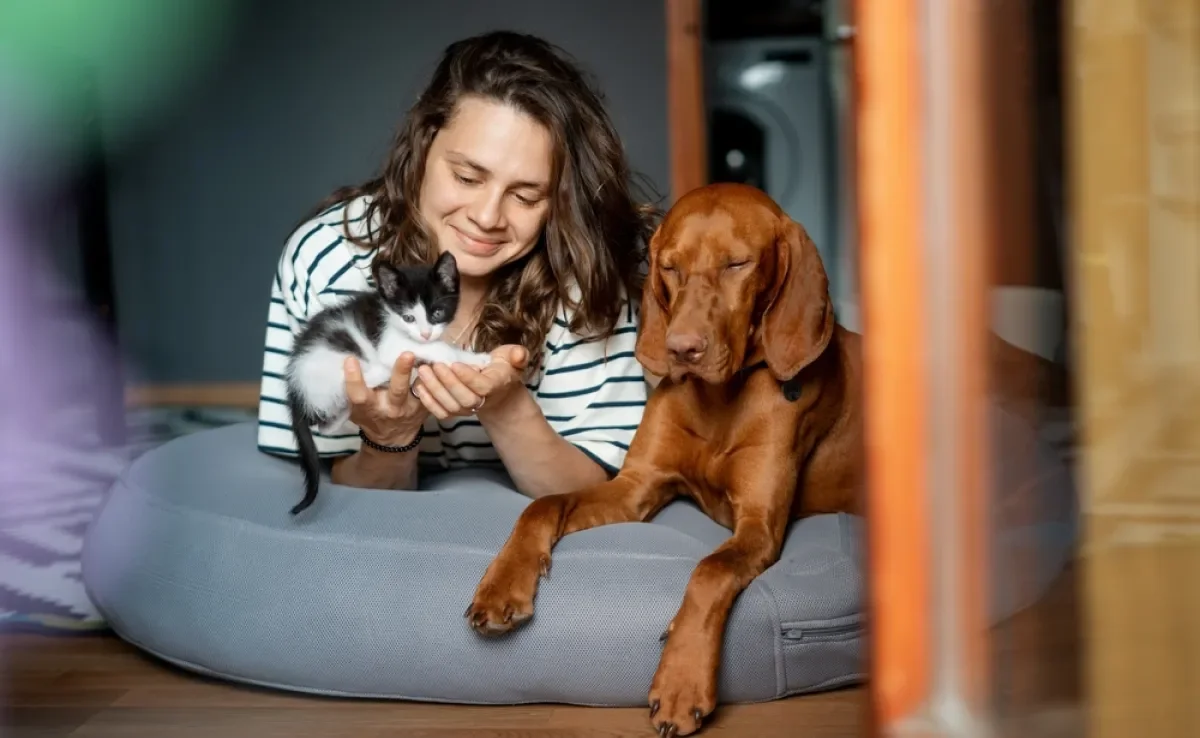 O ato de adotar cachorro ou gato faz muito bem para a saúde