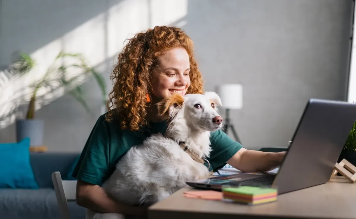 Ter um gato e cachorro podem torná-lo um profissional melhor