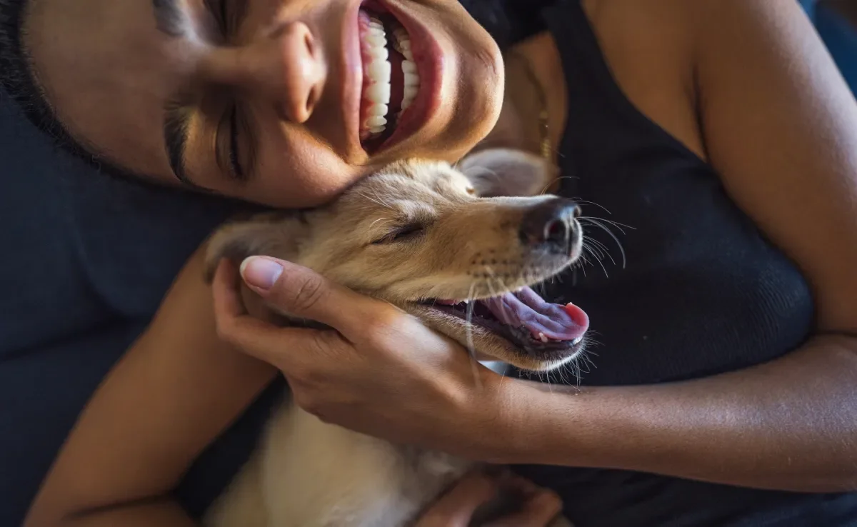 Conversar com seu cachorro ou gato pode ter significados bem positivos