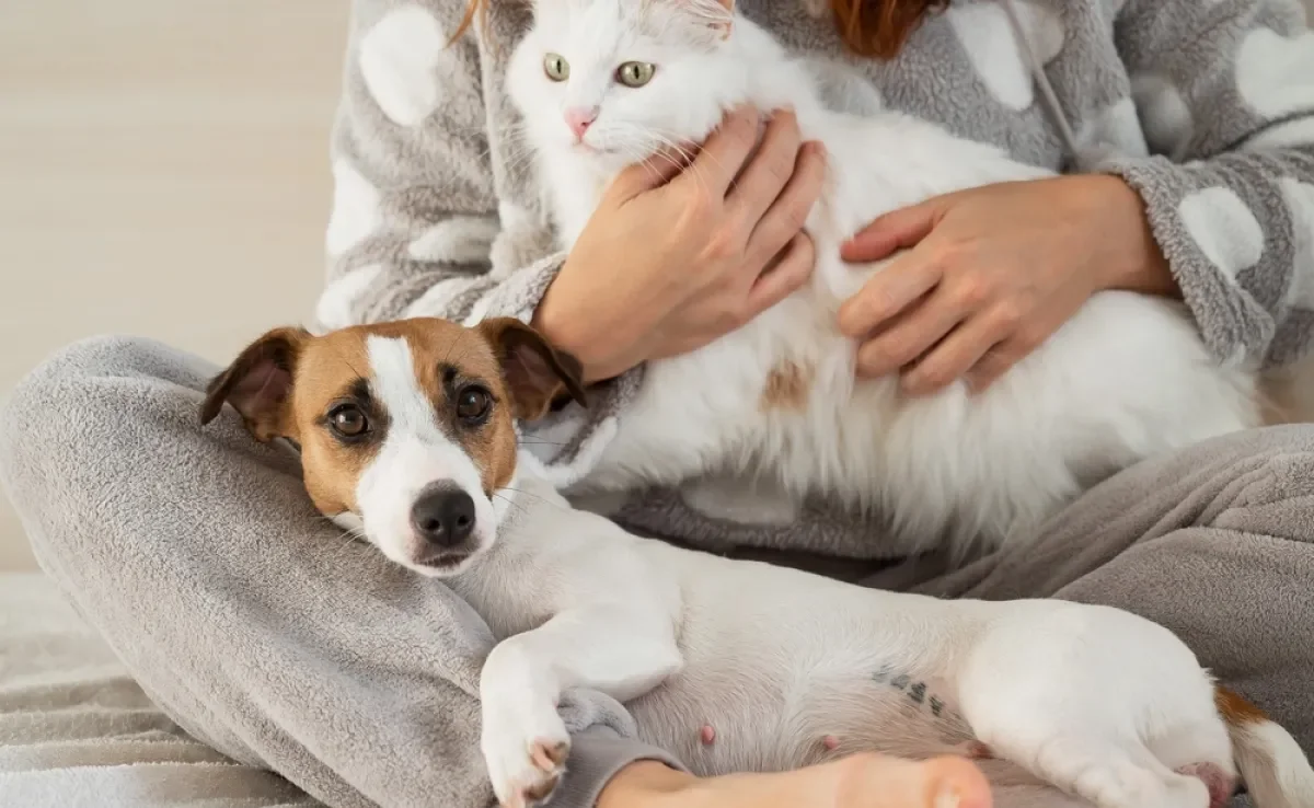 Criar dois pets juntos precisa de alguns cuidados