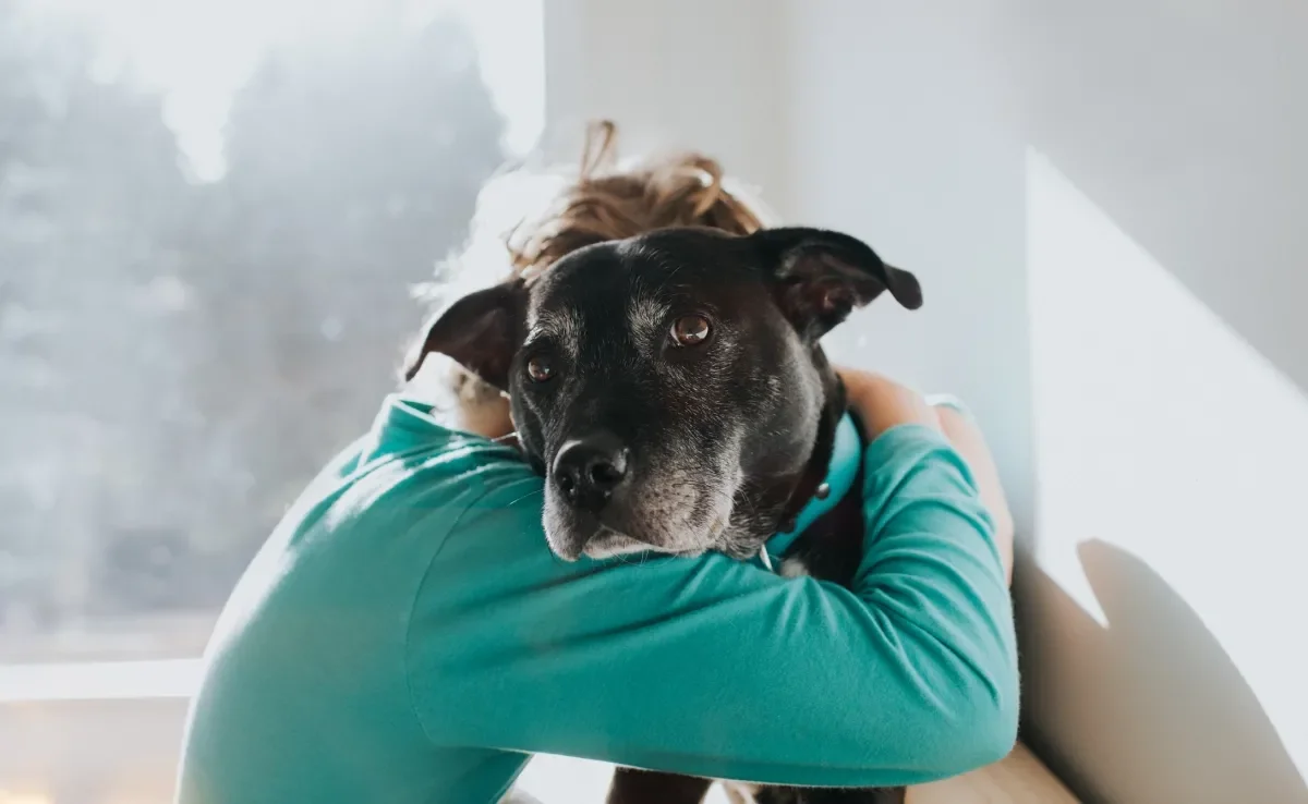 O cachorro muito apegado tem altas chances de desenvolver ansiedade de separação