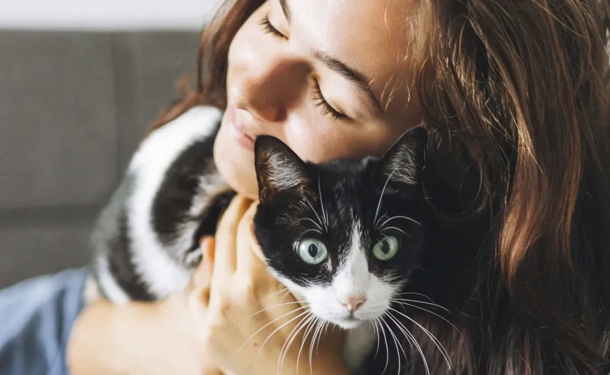 A companhia de gatos ajuda a moldar aspectos da nossa personalidade