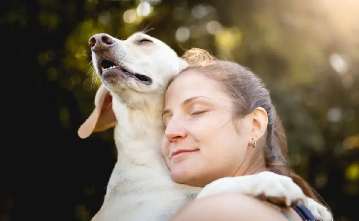 Não é difícil ter um cão terapeuta em casa! A presença de animais de estimação ajuda muito a saúde mental