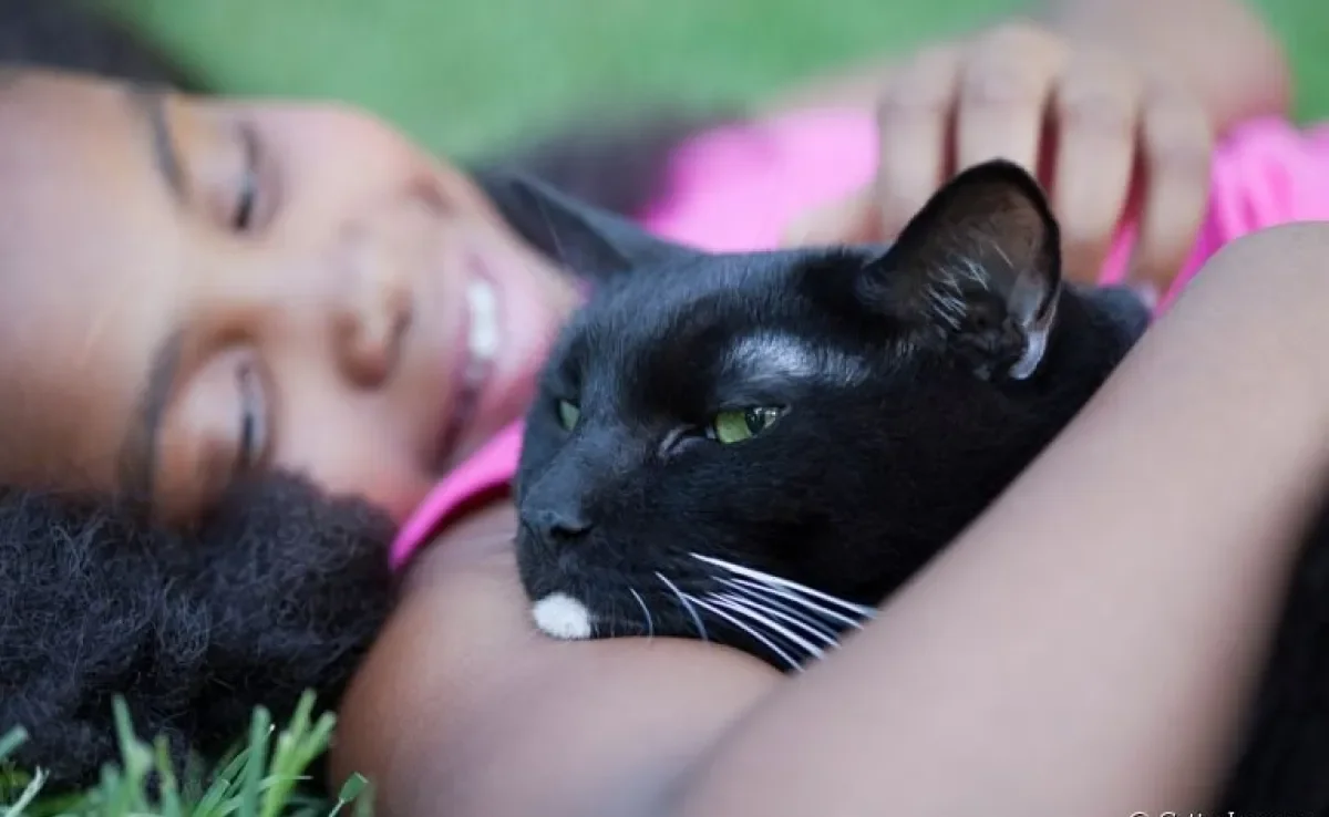 Saiba o que os gatos pensam de seus tutores