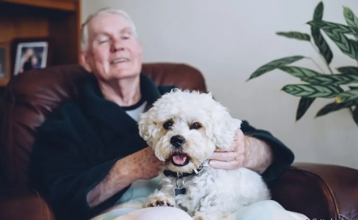 Os cães são ótimas companhias para aproveitar a melhor idade