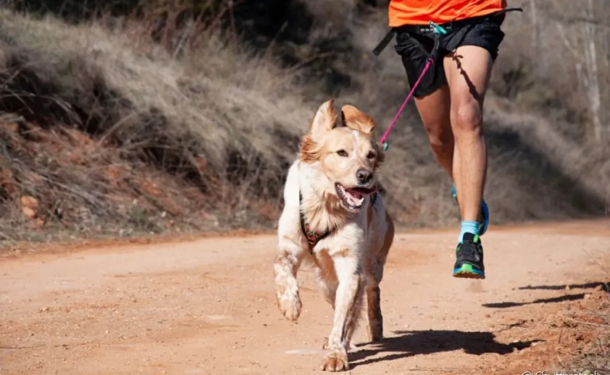 Correr com cachorro é uma atividade que estreita laços e melhora a saúde