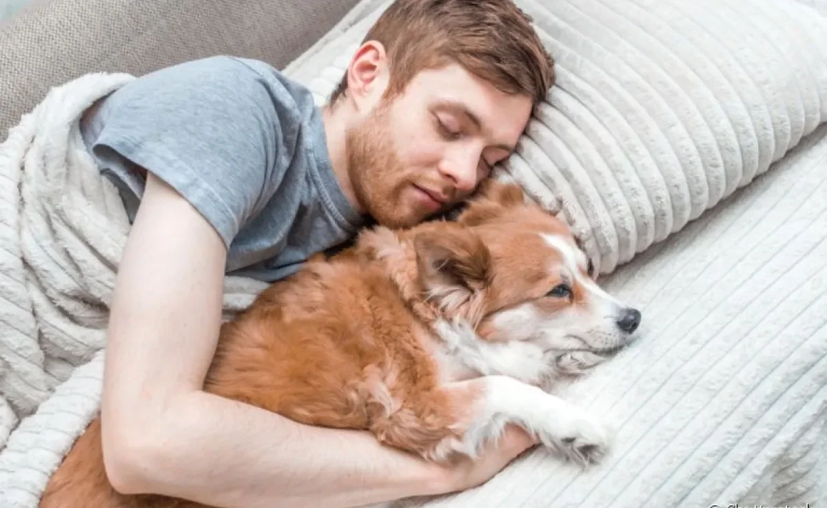 O cachorro dormindo na cama com o dono tem pontos positivos e negativos
