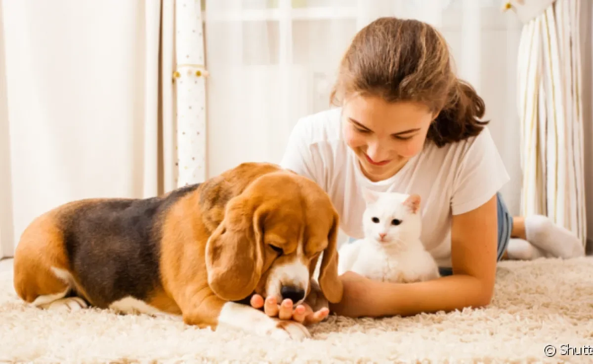 A boa relação entre cachorro e dono e gato e dono tem muito a ver com a personalidade dos dois