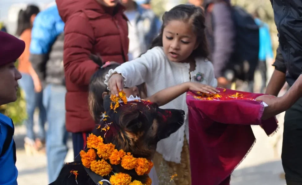 Criança enfeitando um cachorro com flores no pescoço