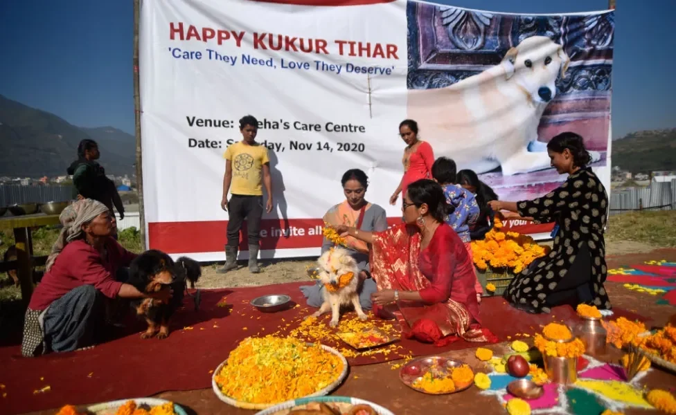 Mulheres sentadas com cachorro celebando o festival