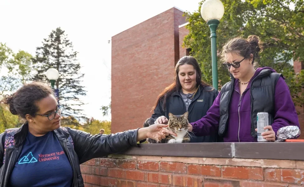 Gato malhado recebendo carinho de estudantes