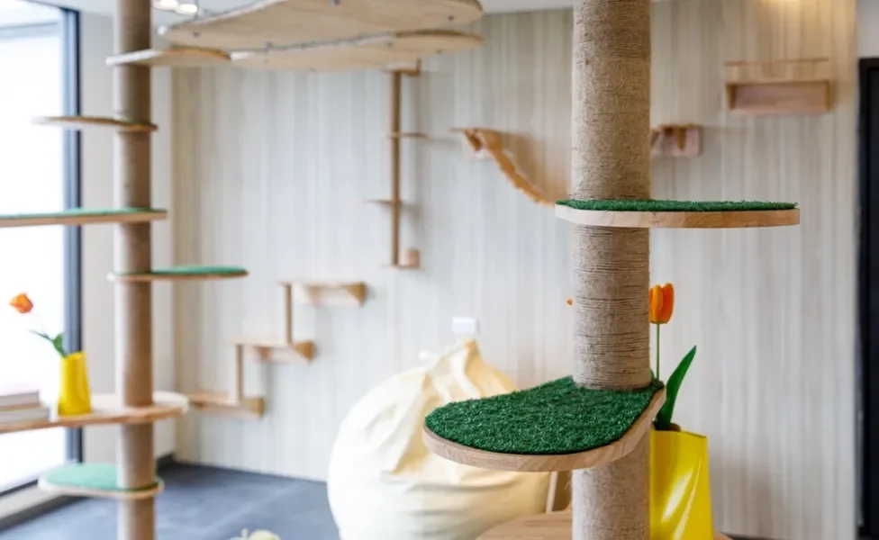 playground para gatos montado em uma sala