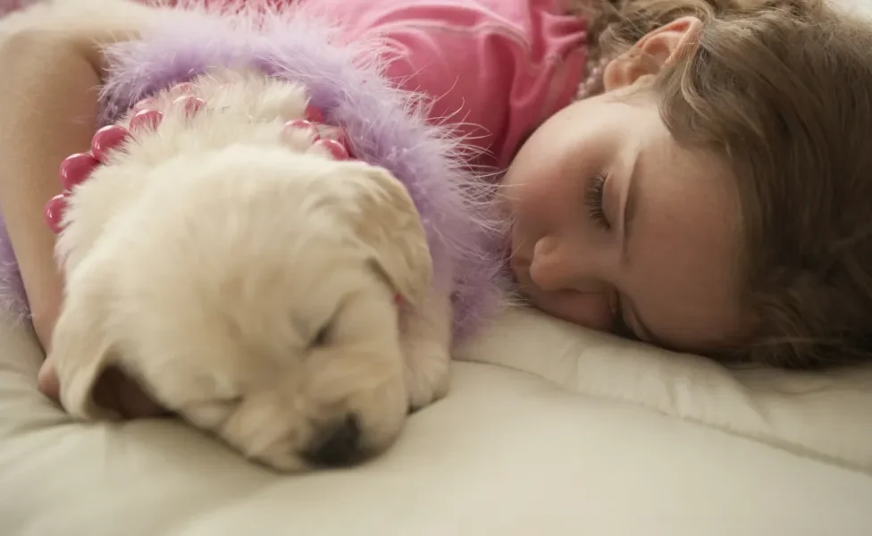 filhote de cachorro e criança dormindo