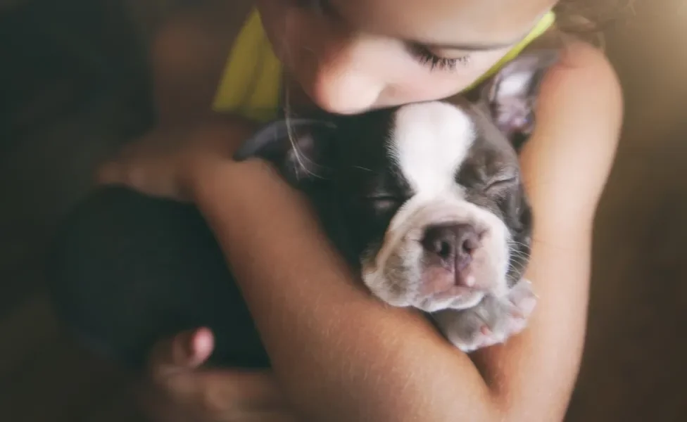 filhote de cachorro no colo de criança