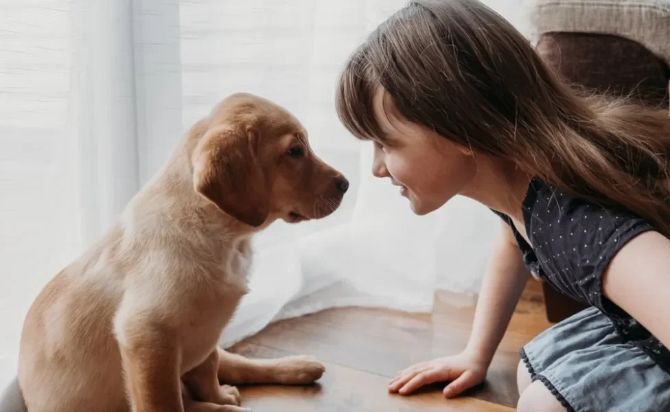 filhote de cachorro ao lado de criança