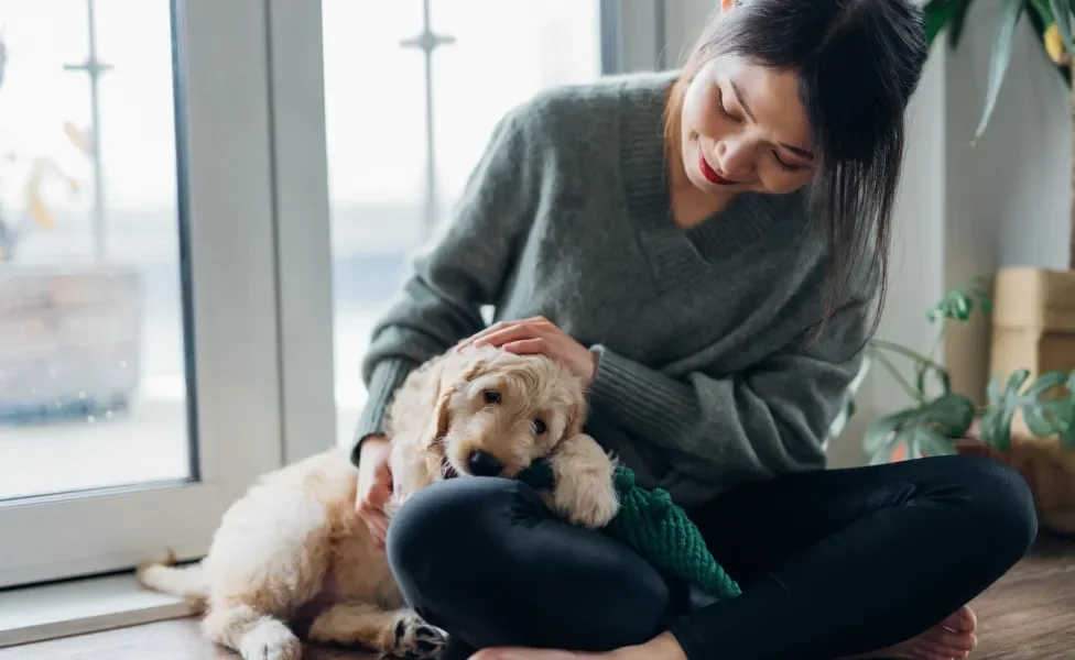 filhote de cachorro ao lado do tutor