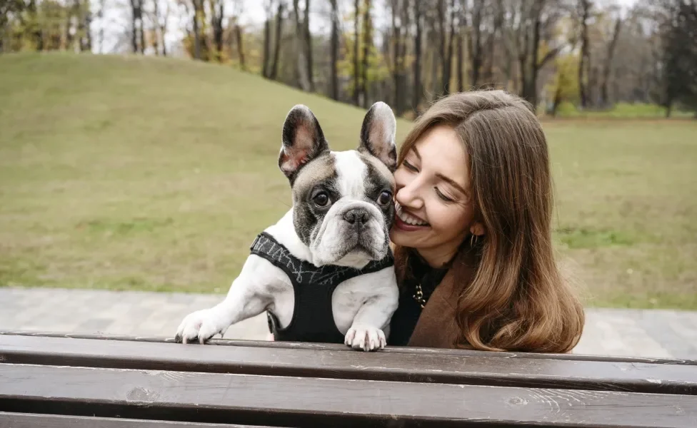 Bulldog Inglês ao lado de mulher