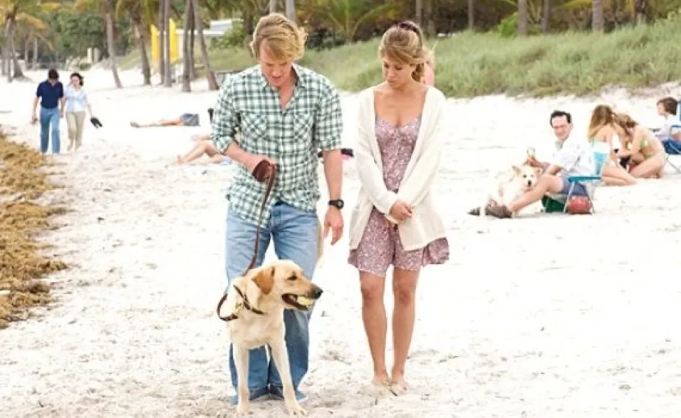 casal passeando com Labrador na praia