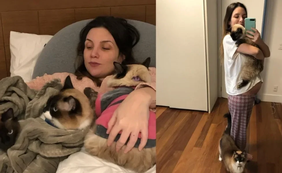 A Gabi está muito feliz de compartilhar esse momento com seus gatinhos Pererê, Petisco e Belisca