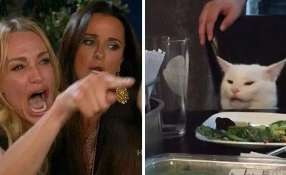 Meme do gato branco irritado sentado na mesa de jantar