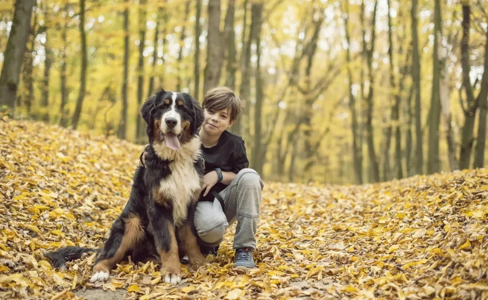 Cachorro ao lado de menino em ambiente de natureza de outono