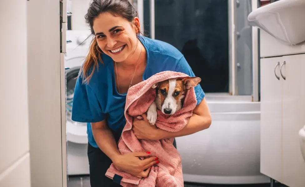 Mulher segurando cachorro no colo enrolado em toalha