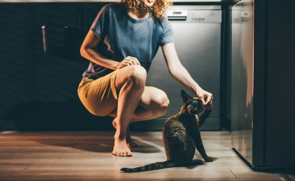 Tutora agachada dando algo para gato