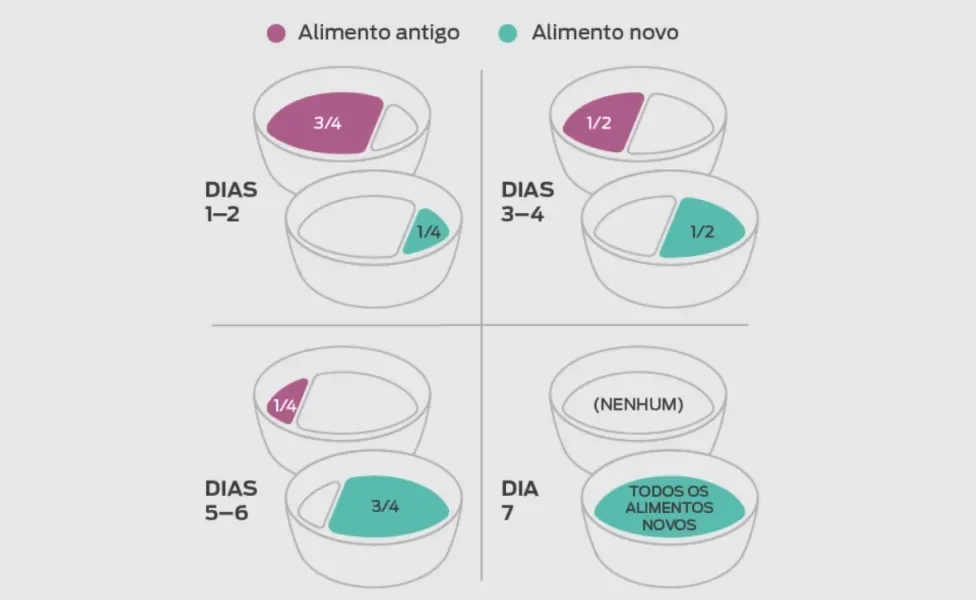 imagem mostrando proporção certa para trocar ração de gato