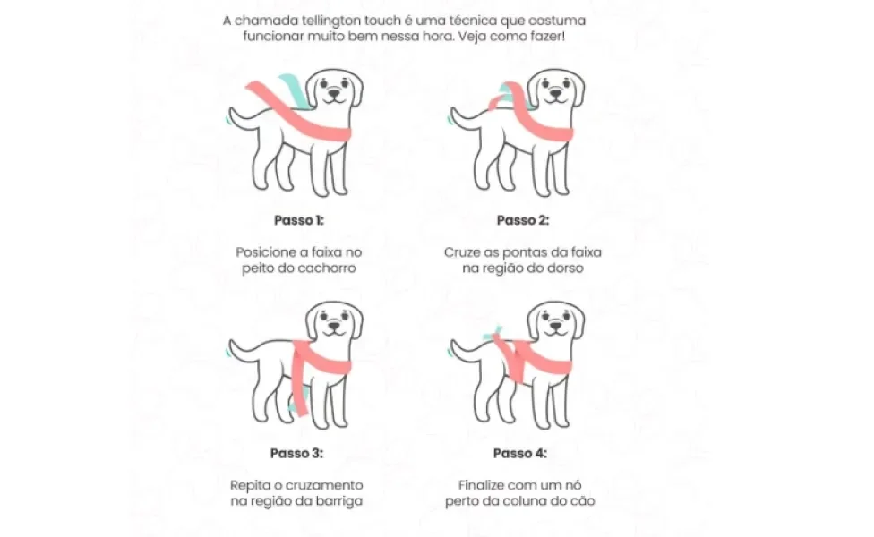 passo a passo do telling touch, técnica para cachorro com medo de fogos