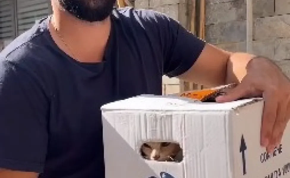 homem carregando um gato dentro de caixa de papelão