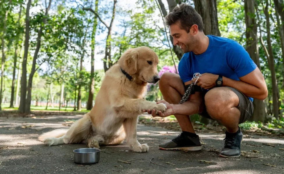 cachorro sentado ao lado de pote no passeio