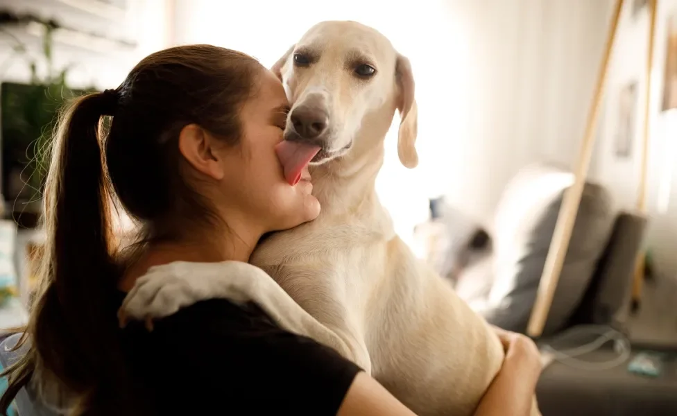 cachorro lambendo dono enquanto é abraçado