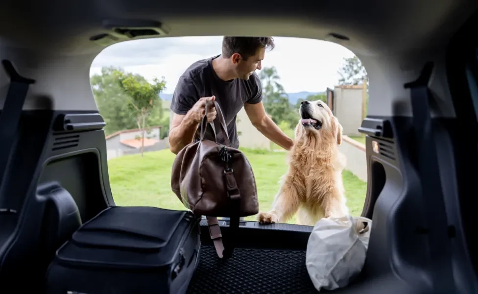 homem ao lado de cachorro colocado malas no carro