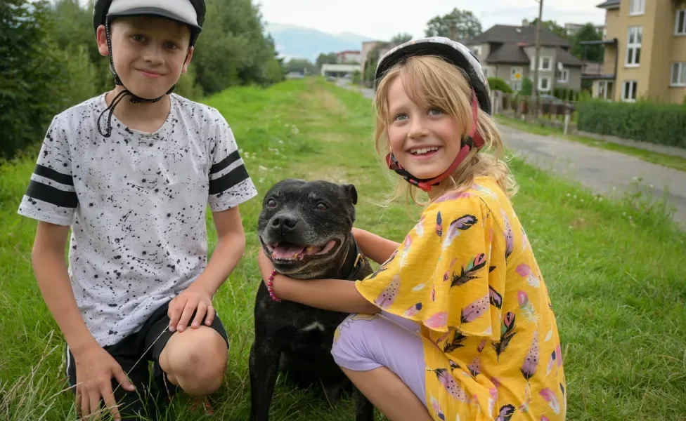 Staffordshire Bull Terrier com duas crianças 