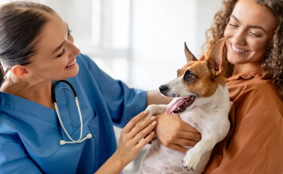 veterinária examinando cachorro com a dona