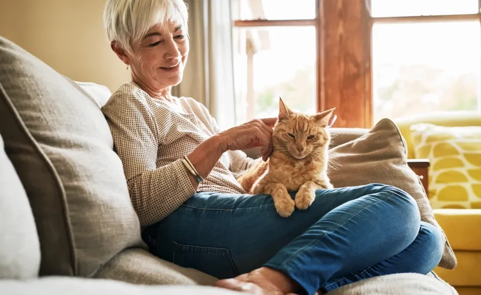 mulher com gato deitado no colo