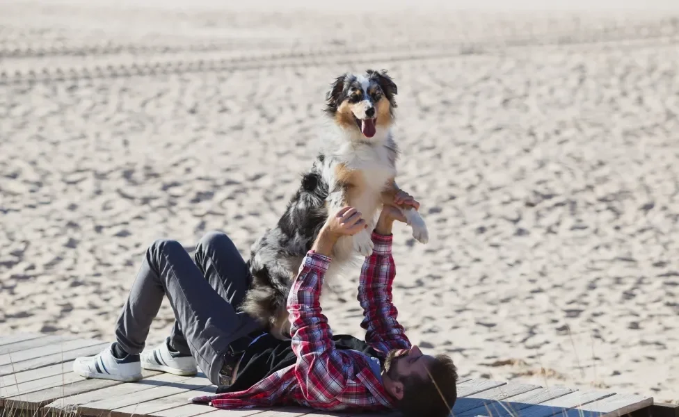 homem com cachorro no colo na praia