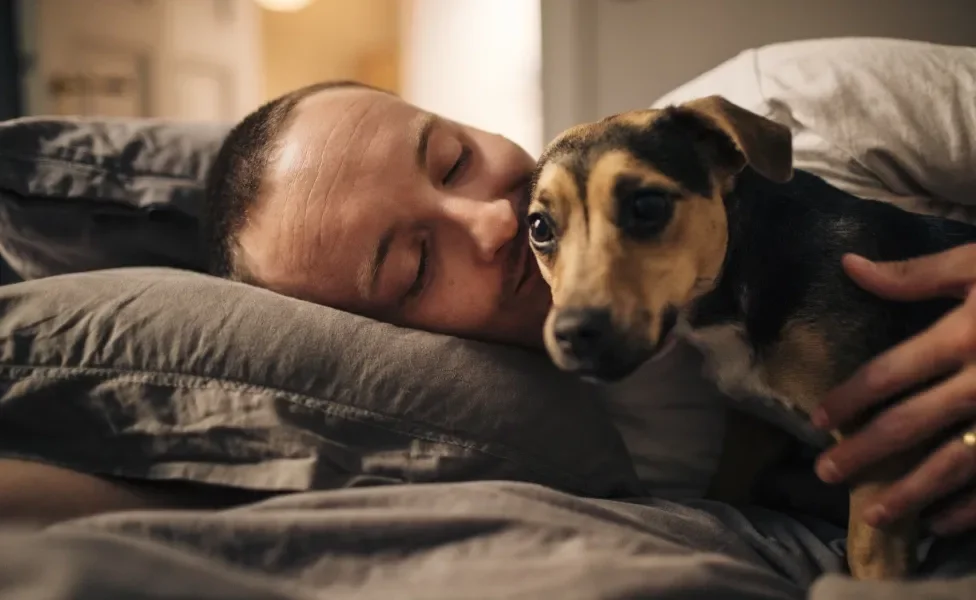 homem beijando cachorro