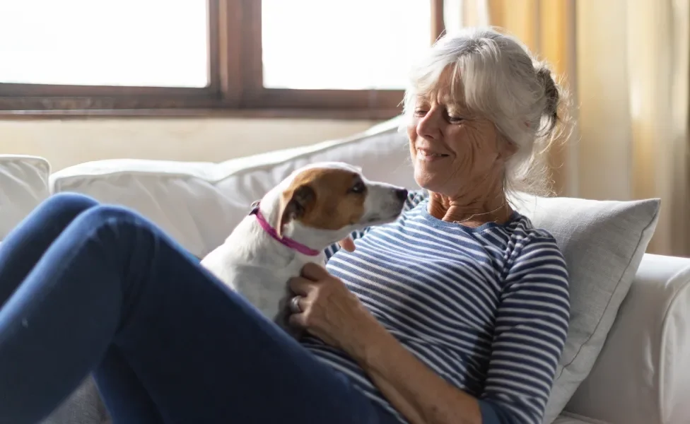 mulher deitada no sofá com um cachorro no colo