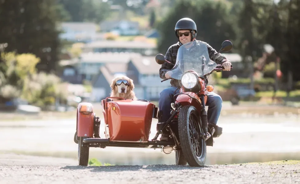 Tutor levando cachorro em passeio de moto