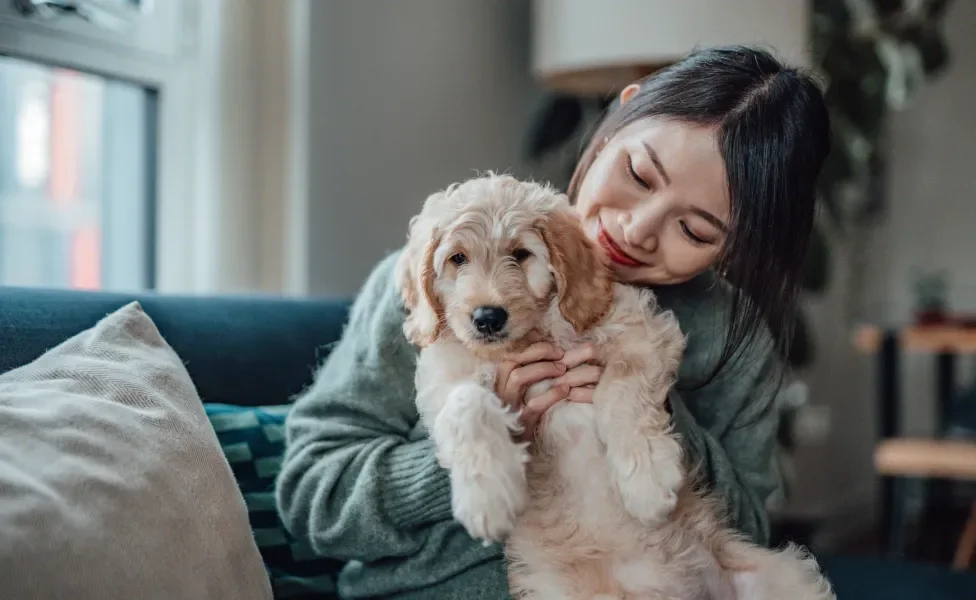 Mulher segurando cão filhote com olhar de ternura, carinho e cuidado