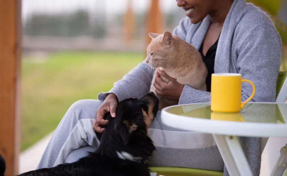 mulher fazendo carinho em cachorro e gato